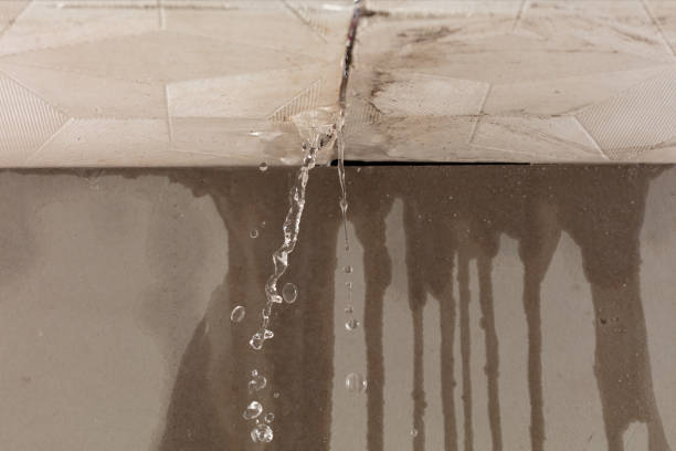 Professional Water Damage Repair technician working in Frazier Park, CA